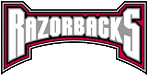 Arkansas Razorbacks 2001-2008 Wordmark Logo v5 iron on transfers for clothing